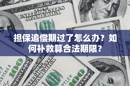 济南担保追偿期过了怎么办？如何补救算合法期限？