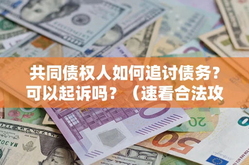 济南共同债权人如何追讨债务？可以起诉吗？（速看合法攻略）